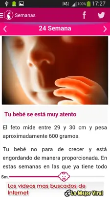 Semanas Embarazo android App screenshot 13