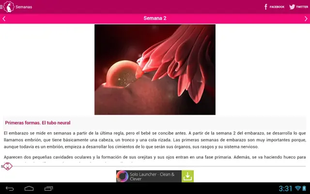 Semanas Embarazo android App screenshot 5